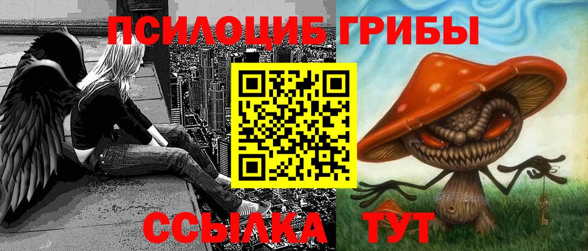 Галлюциногенные грибы прущие грибы Иваново
